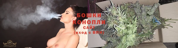 тгк Белокуриха