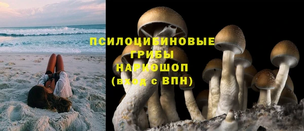 тгк Белокуриха